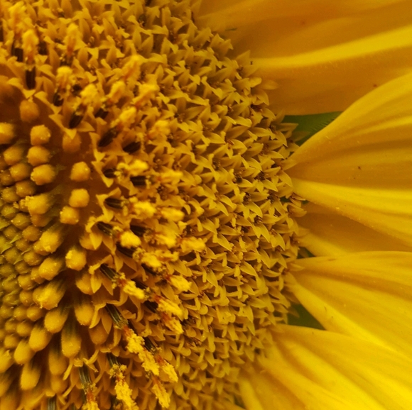 Meet your Posher, Lizanne - Picture 3 of 10